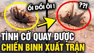 Phát hiện TỔ MỐI DƯỚI ĐẤT, thanh niên quay được CLIP THÚ VỊ khi trời sắp mưa | Tin 3 Phút