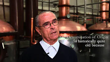 Qual a origem da bebida pisco?