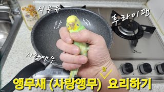 사랑앵무 앵무새 요리 만들기