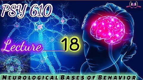 PSY610 || Lecture 18 || Neurological Bases of Behavior || Short Lecture || VU Lectures