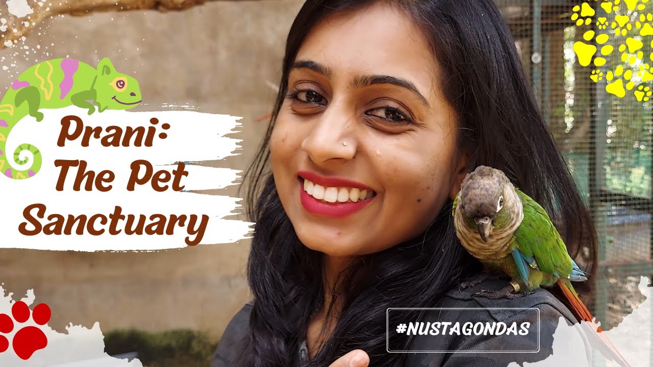 Prani Pet Sanctuary Bangalore One day Trip in Bangalore Must visit