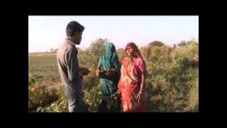 Brinjal Cultivation Hindi ACCESS, Madhya Pradesh