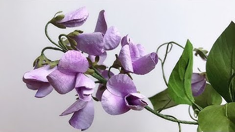 ABC TV | How To Make Sweet Pea Paper Flower With Shape Punch - Craft Tutorial