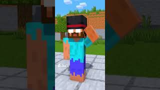 #Animation #Minecraft #Mem