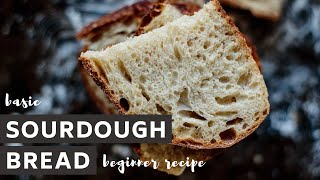 How to Make Sourdough Bread for Beginners (Basic Recipe   Tips)