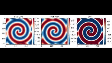Feed Forward Neural Network feed with its own output, Reaction Diffusion Equation