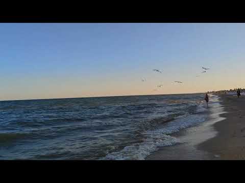 🌊 Вечерняя прогулка