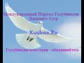 Выставка Голубей в Ташкенте
