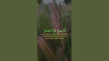 تلاوة رائعة😍 ﴿اعلَموا أَنَّمَا الحَياةُ الدُّنيا لَعِبٌ وَلَهوٌ﴾ [الحديد:٢٠] للشيخ سعد الغامدي.