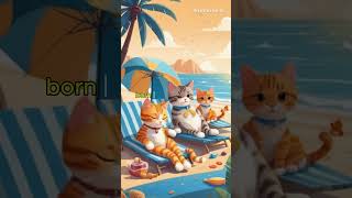 Cats Sunbathing On The Beach For Kids