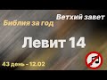 Библия за год | без музыки | день 43 | Левит 14 глава | план чтения Библии 2022