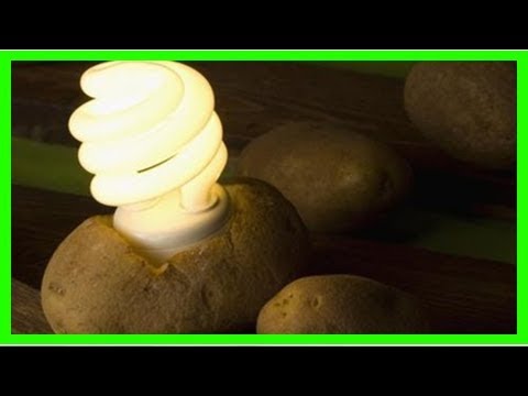 Comment illuminer votre chambre avec une pomme de terre