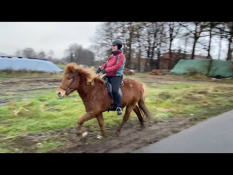 Video: Konsentrasjonsforstyrrelse