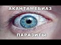 АКАНТАМЕБИАЗ ПАРАЗИТЫ ИНВАЗИИ