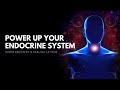 Power Up Your Endocrine System | Super Recovery & Healing Fatigue | Immune System Booster | 528 hz