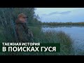 В поисках гуся // Таежная история / Серия #2