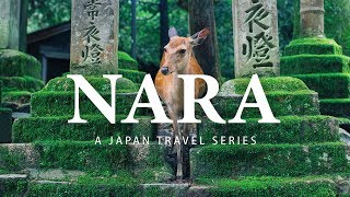 Nara |Part 4| Japan Travel Film  Sony A7III Vlog