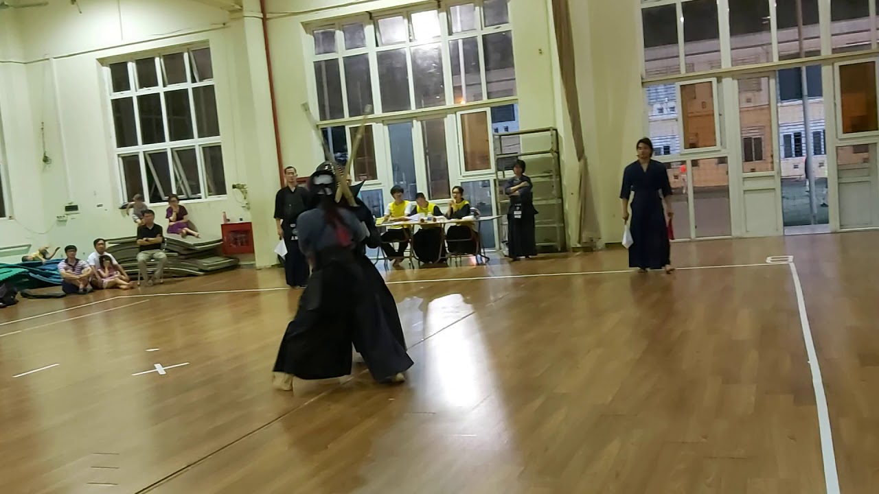 Ahn(Jinsang teamwhite) vs Dang Trang (red)1st match