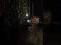 in the museum# synthetic sculpture#travel