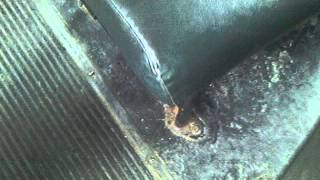 IMAG0050.AVI