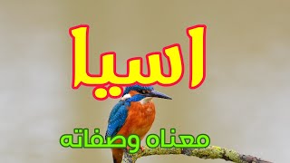 معنى اسم اسيا وصفات من تحمل هذا الاسم    سمعها