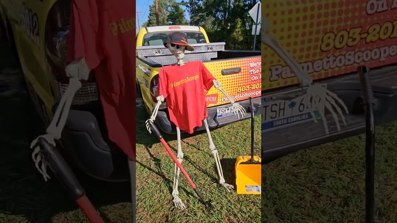Dog Poop Scooper Scoop Skeleton is trying out for a job with Palmetto Scoopers! 