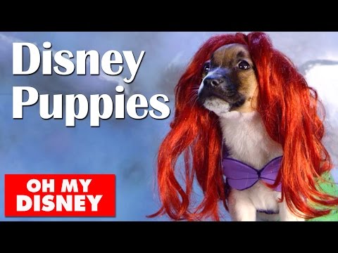 Adorable Disney Puppies in Slow Motion | Oh My Disney