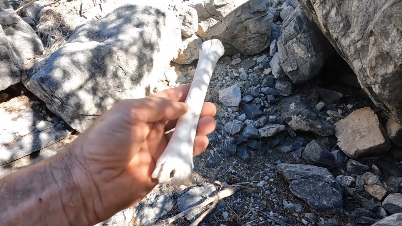 Searching For Kenny Veach : Exploring New Canyons : Bones Discovered -  YouTube