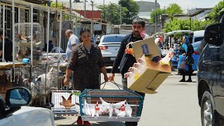 From the Chicken Market Bought 22 chickens 6 kg each   Chicken Meatball Soup Recipe!