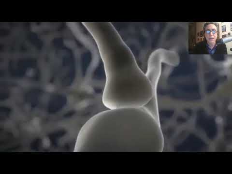 Neurofisiología Aproximación Clase 2