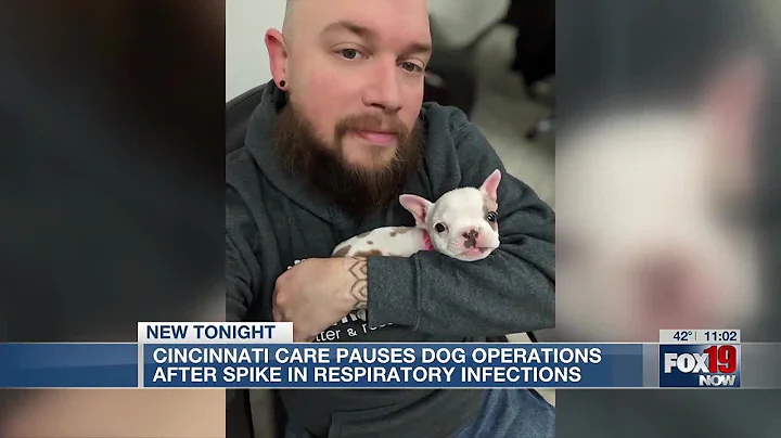 Cincinnati Animal CARE pauses dog operations after spike in respiratory infections