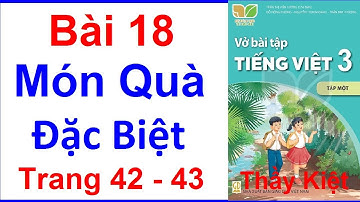 Vở Bài Tập Tiếng Việt Lớp 3 Kết Nối Tri Thức Bài 18 | Món Quà Đặc Biệt | Trang 42 - 43 | Tập 1