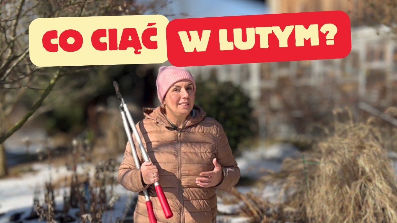 Cięcie w lutym – jakie drzewa i krzewy przycinamy? Jakich narzędzi potrzebujemy?