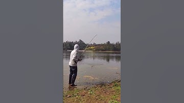 Lưới câu cá siêu dính câu nhiều cá cùng lúc dễ dàng 2025 #4 #shorts #fishing #fishingnets