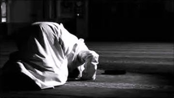 سورة الرحمن هاني الرفاعي #خاشعه
