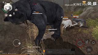 Wolf Online 2 Review