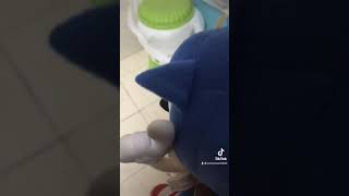 Sonicplush2020 Game Sonic In The Bathroom Berry Sing