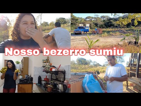 VOLTAMOS NO SÍTIO E NÃO ENCONTRAMOS O BOIZINHO
