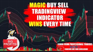 If You Want To Be WINNER, Try This  Indicators | SECRET Scalping Strategy Tradingview
