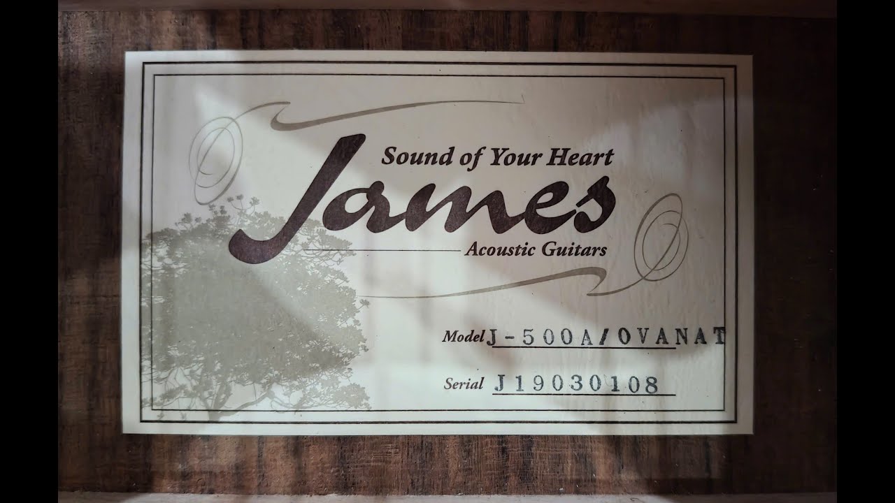 Guitar James J500A - giá tốt 4tr5 - 034.9631.393