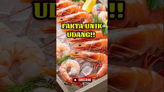 Jantung Udang: Ternyata Ada di Kepala!😱 #faktahewan #jantungudang #shorts#youtubeshorts#videoedukasi