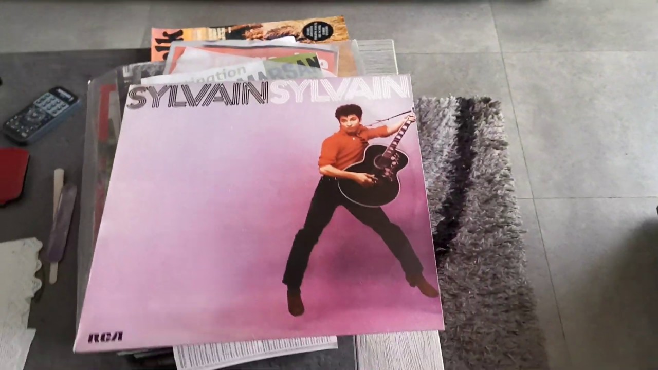 Syl Sylvain 🇺🇲 - Teenage News - Vinyl Sylvain Sylvain LP