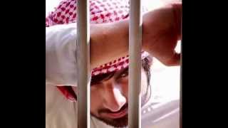 محمد الشحي عذبتني ياطير