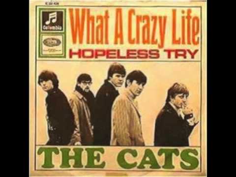 The Cats - What A Crazy Life