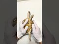 Even If You Do, You Must Stand on the Turtle Specimen - A Unique Pet Adventure