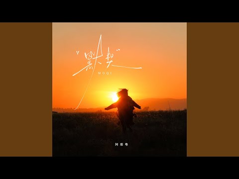 阿梨粤 - 默契