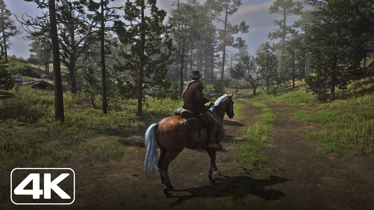 Red Dead Redemption 2 - PS5™ Gameplay [4K] 