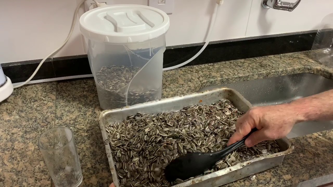 Sementes De Girassol