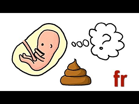 Vidéo: Est-ce que les fœtus font caca dans l'utérus ?