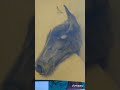 Desenho digital - cavalo a lápis #desenhoalapis #desenhodigital #artedigital